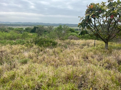 1,877m² Vacant Land For Sale in Zini River Estate