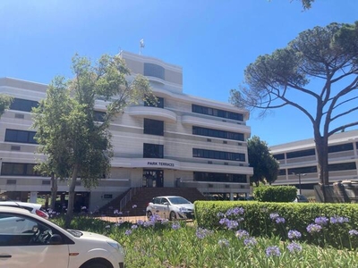 Commercial Property For Rent In Mowbray, Cape Town