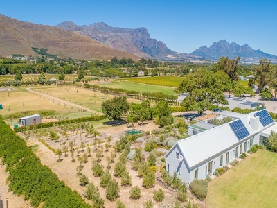Small Holding for sale with 5 bedrooms, R45 Bathurst, Franschhoek