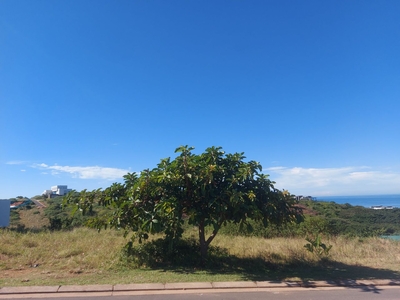 1,087m² Vacant Land For Sale in Zululami Luxury Coastal Estate