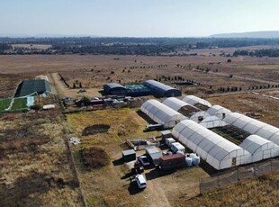 4Ha Small Holding For Sale in Mooiplaats AH