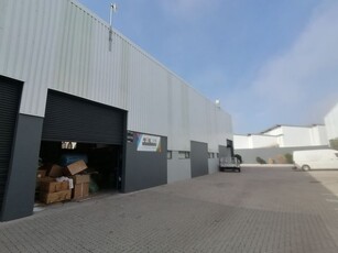 245m² Warehouse For Sale in Rivergate