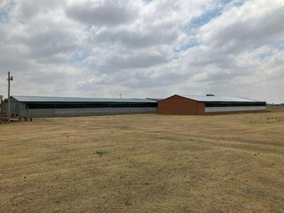 Farm For Sale In Bultfontein Rural, Bultfontein