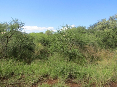Vacant land / plot for sale in Thabazimbi