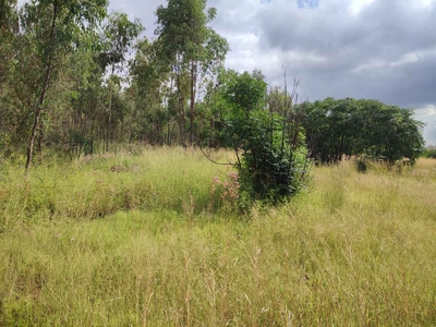 Vacant Land Residential For Sale in Eldoraigne