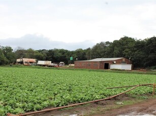 48.6 ha Farm in Hekpoort