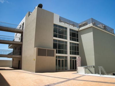 1,162m² Office To Let in Wicket Building, Newlands