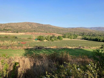 Farm For Sale In Dullstroom, Mpumalanga