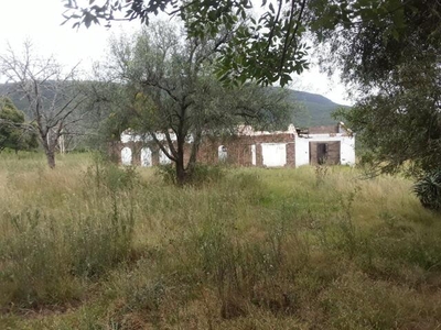 Lot For Sale In Bedford, Eastern Cape