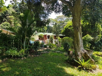 Calling Developers or just enjoy your freedom on this 16800 sqm property!