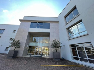 Commercial Property For Rent In Illovo, Sandton