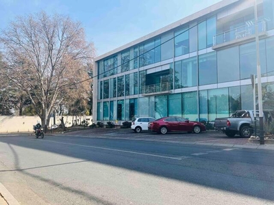 Commercial Property For Rent In Illovo, Sandton