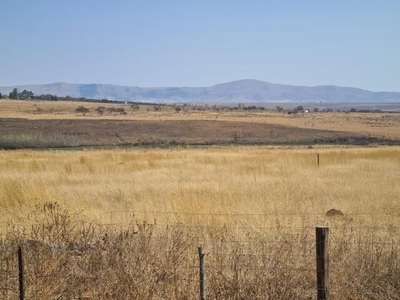 Farm For Sale In Lydenburg, Mpumalanga