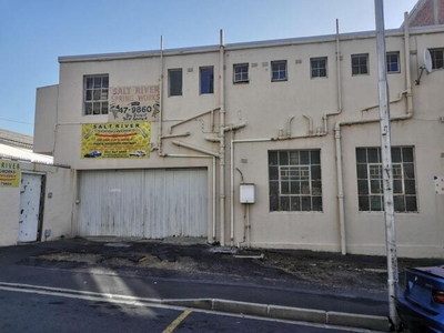 Industrial Property For Sale In Salt River, Cape Town
