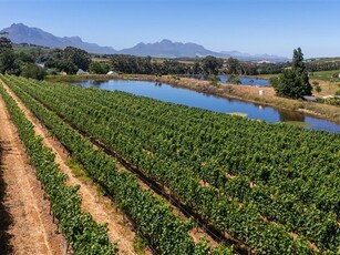 26.2 ha Farm in Stellenbosch Agricultural