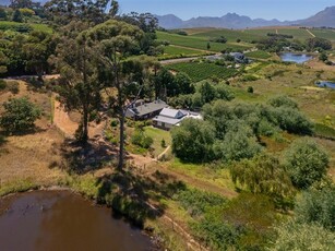 5.6 ha Farm in Stellenbosch Agricultural