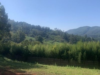 Tzaneen Limpopo N/A