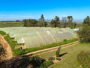 13.7 ha Farm in Malmesbury