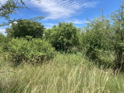 1,013m² Vacant Land For Sale in Seasons Lifestyle Estate