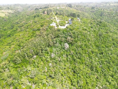 62,616m² Vacant Land For Sale in Wilderness Heights