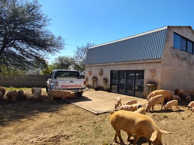 Small Holding For Sale in Broederstroom AH