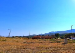 1,393m² Vacant Land For Sale in Louis Trichardt