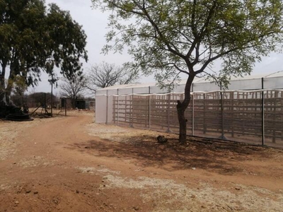 Farm For Sale In Tweefontein Ah, Polokwane