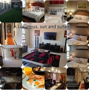 Luxurious sun and suite - Cape Town