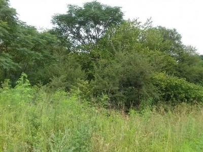 4,049m² Vacant Land For Sale in Ashburton