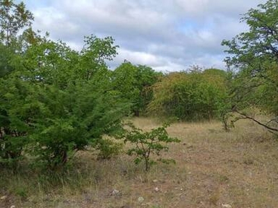 Lot For Sale In Musina, Limpopo