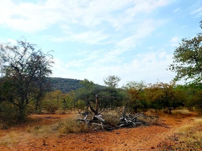 Land Musina Limpopo