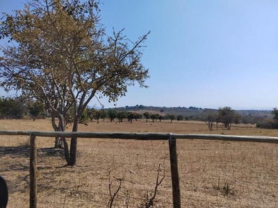Land Tzaneen Limpopo