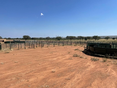 4472HA CATTLE AND GAME FARM IN LIMPOPO FOR SALE