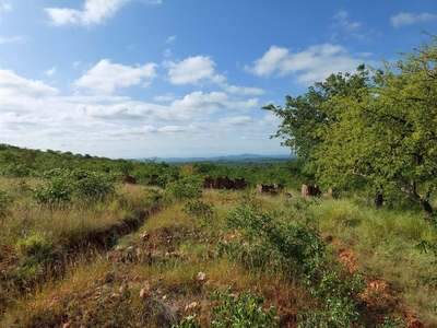 Farm For Sale in Musina Rural