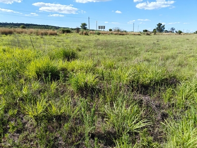Farm For Sale in Oudedorp