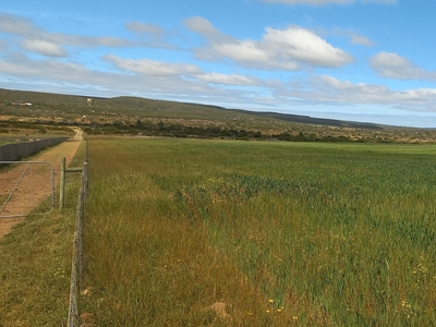 Farm For Sale in Riversdale Rural