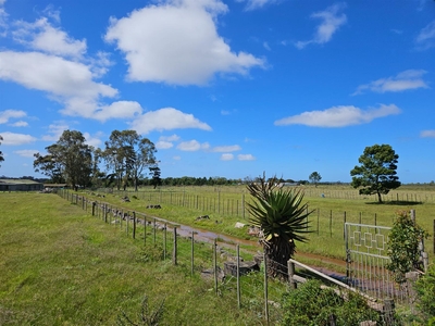 Farm For Sale in Rocklands