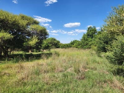 ONE HECTARE IN ESTATE FOR SALE - LEEUWFONTEIN - ROODEPLAAT