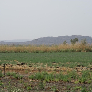 Vacant irrigation land at Bon Accord