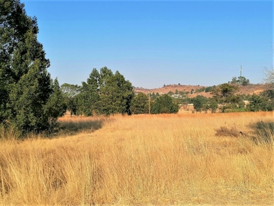 Vacant Land Residential For Sale in Blue Saddle Ranches