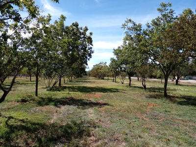 Vacant Land Residential For Sale in Orania