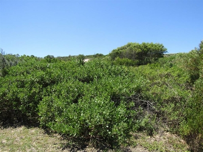 693 m² Land available in Oyster Bay