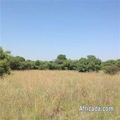 Vacant Land For Sale in Roodeplaat