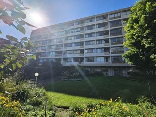 1 Bed Apartment/Flat For Rent Rondebosch Southern Suburbs