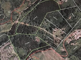 18 ha Land available in Montrose