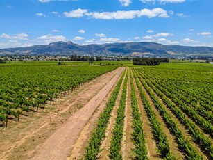 37 ha Farm in Northern Paarl