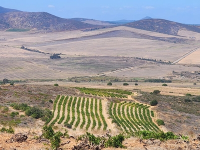 250Ha Farm Sold in Darling