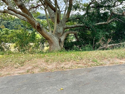 808m² Vacant Land For Sale in Shelly Beach