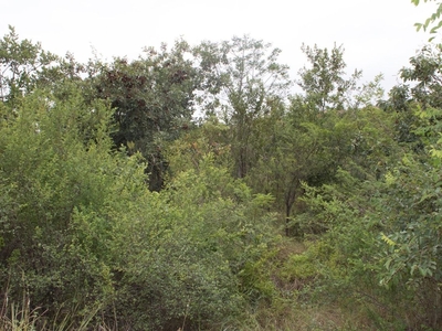 1,436m² Vacant Land For Sale in Hazyview