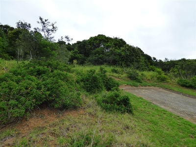 781m² Vacant Land Sold in Port Alfred Central